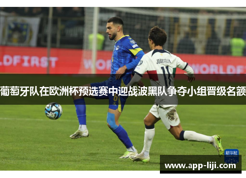 葡萄牙队在欧洲杯预选赛中迎战波黑队争夺小组晋级名额